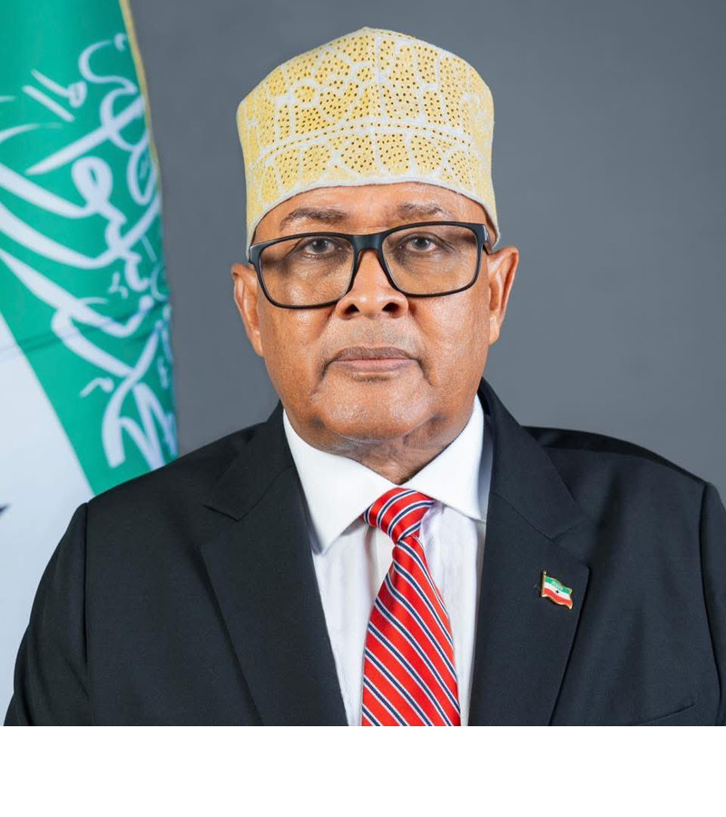 H.E. Abdirahman Mohamed Abdullahi (Irro)